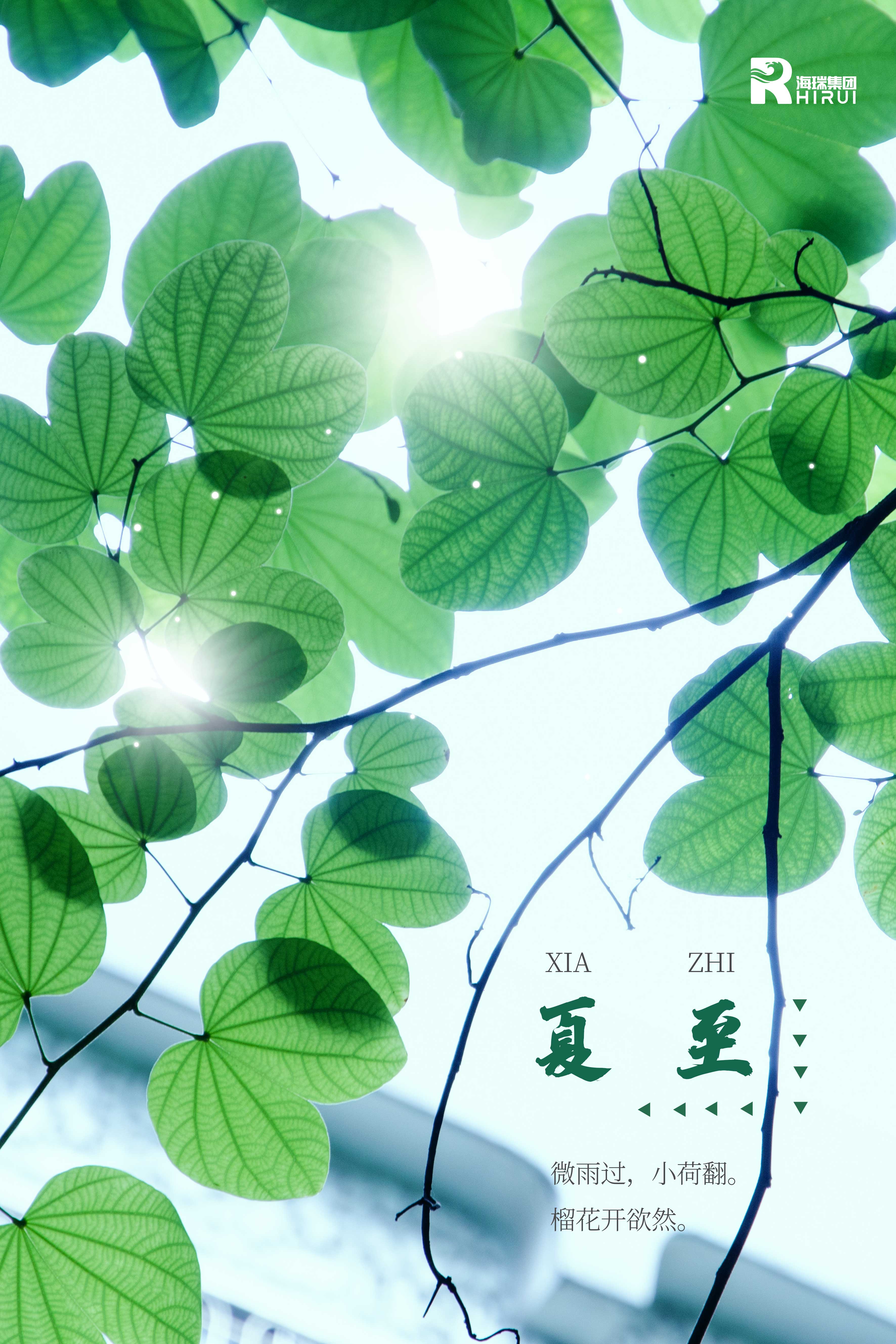 夏至已至，盛夏已至